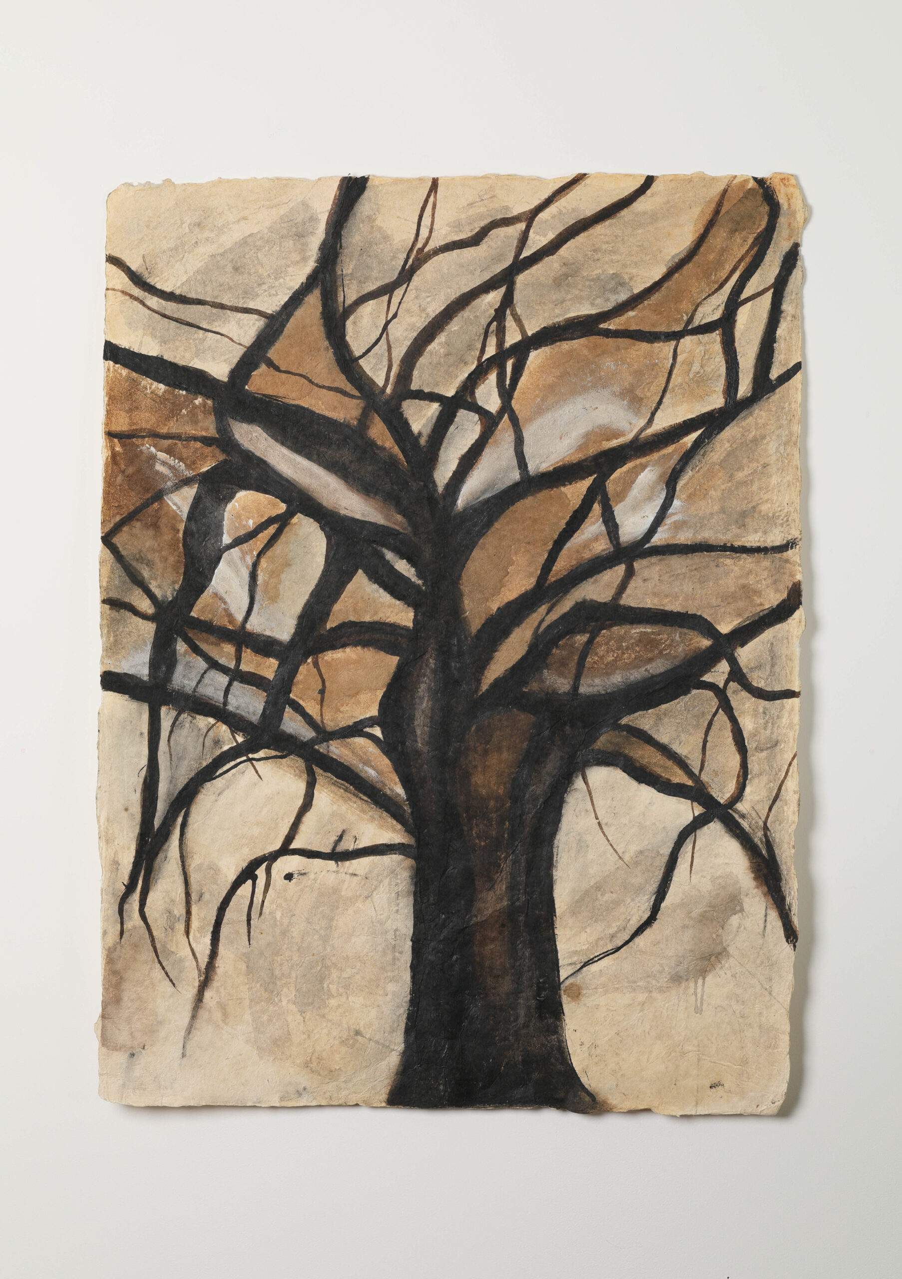 Arbre (café, encre)